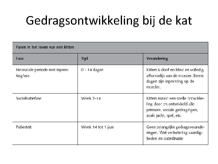 Gedragsontwikkeling bij de kat 