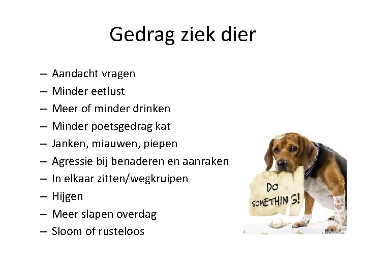 Gedrag ziek dier – – – – – Aandacht vragen Minder eetlust Meer of