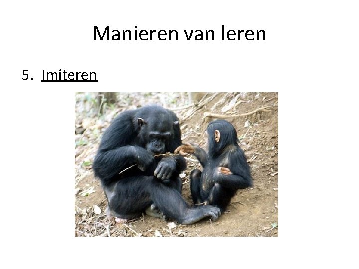 Manieren van leren 5. Imiteren 