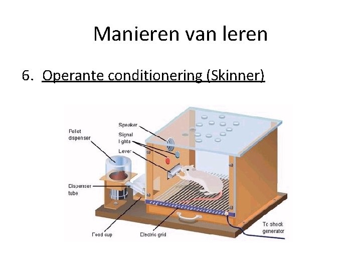 Manieren van leren 6. Operante conditionering (Skinner) 