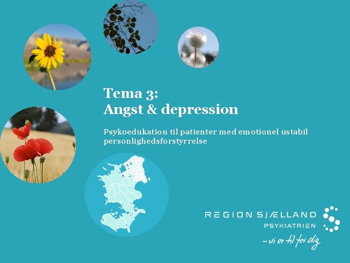 Tema 3: Angst & depression Psykoedukation til patienter med emotionel ustabil personlighedsforstyrrelse 