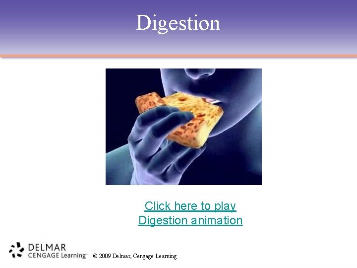 Digestion Click here to play Digestion animation © 2009 Delmar, Cengage Learning 