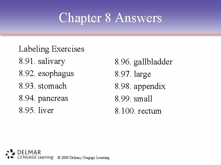 Chapter 8 Answers Labeling Exercises 8. 91. salivary 8. 92. esophagus 8. 93. stomach