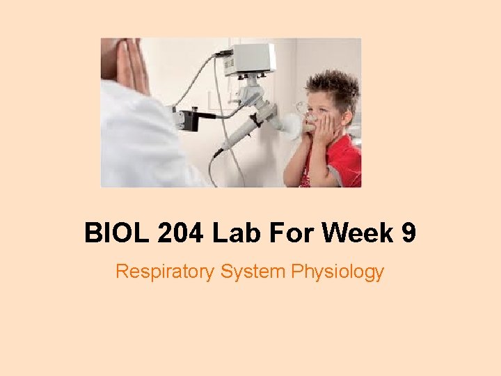 BIOL 204 Lab For Week 9 Respiratory System Physiology 