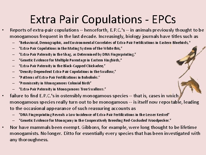 Extra Pair Copulations - EPCs • Reports of extra-pair copulations -- henceforth, E. P.