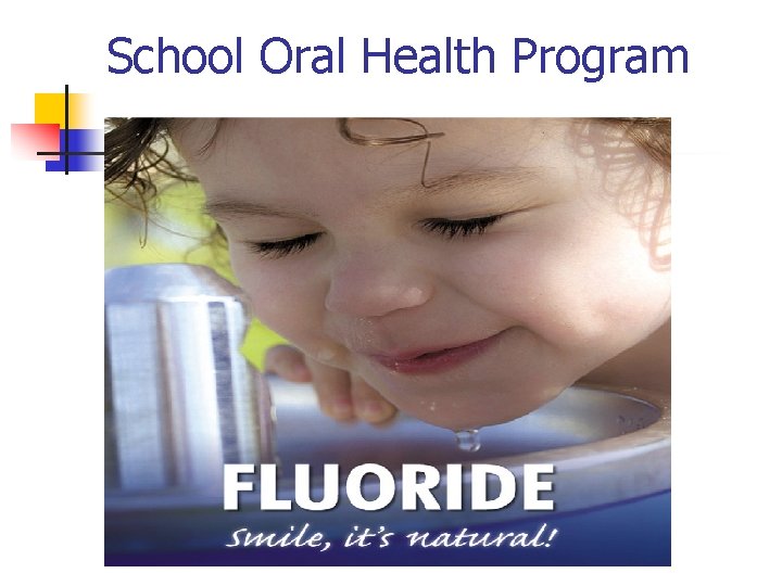School Oral Health Program 