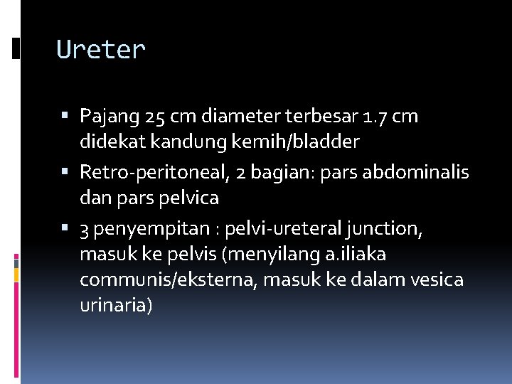 Ureter Pajang 25 cm diameter terbesar 1. 7 cm didekat kandung kemih/bladder Retro-peritoneal, 2