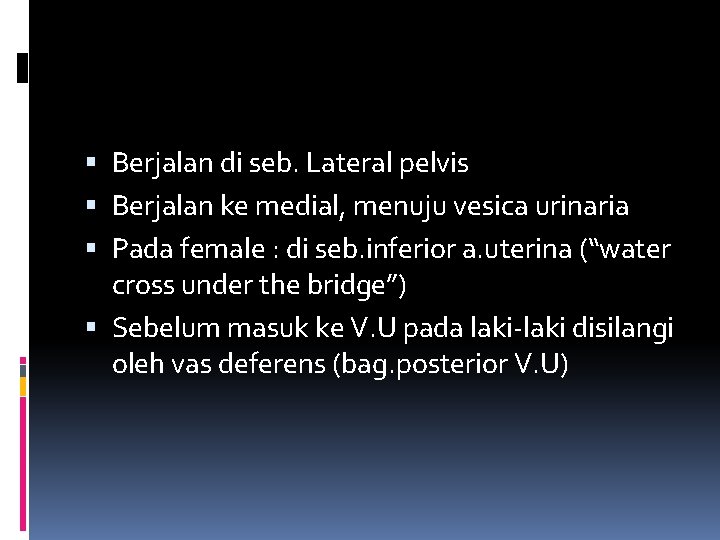  Berjalan di seb. Lateral pelvis Berjalan ke medial, menuju vesica urinaria Pada female