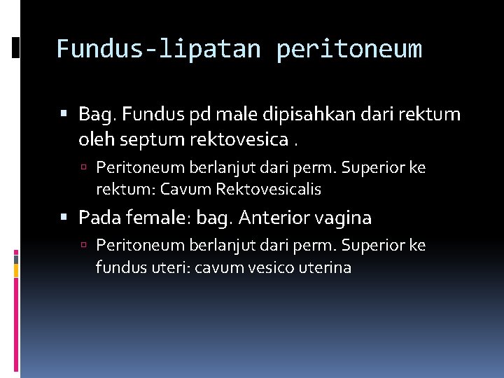 Fundus-lipatan peritoneum Bag. Fundus pd male dipisahkan dari rektum oleh septum rektovesica. Peritoneum berlanjut