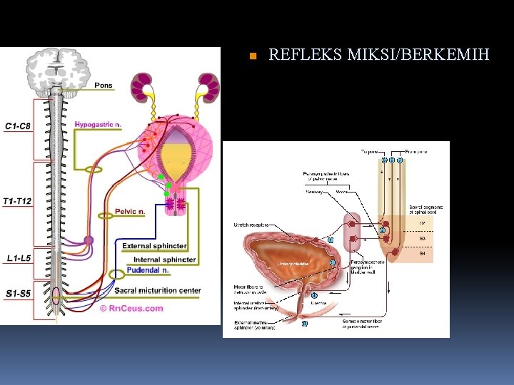 n REFLEKS MIKSI/BERKEMIH 