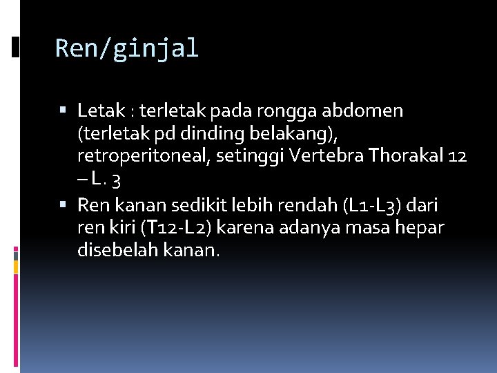 Ren/ginjal Letak : terletak pada rongga abdomen (terletak pd dinding belakang), retroperitoneal, setinggi Vertebra