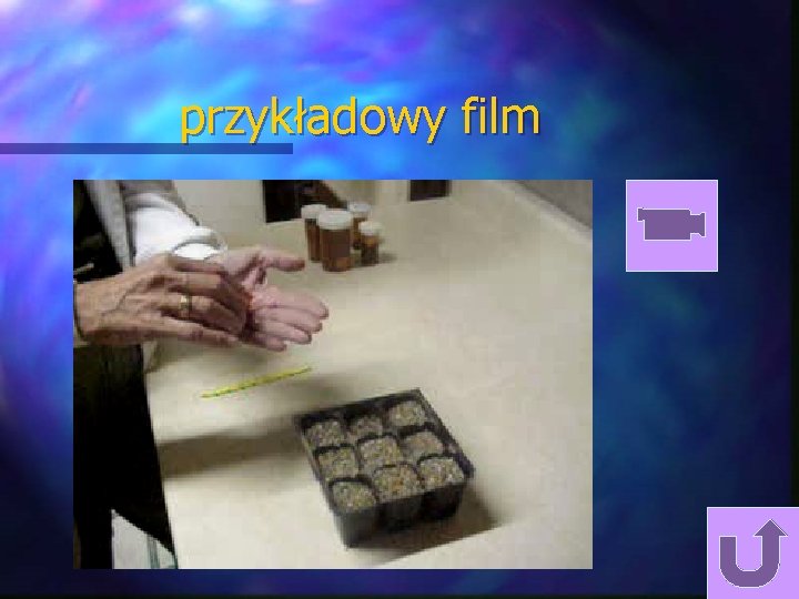 przykładowy film przykładowy film