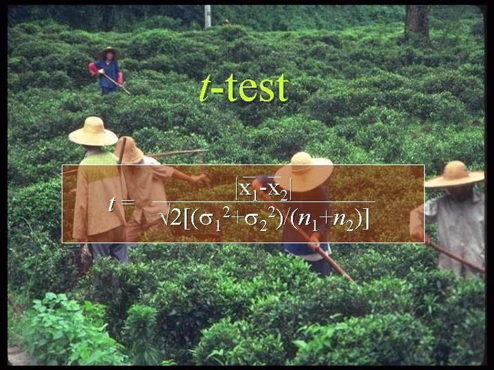 t-test |x 1 -x 2| t= 2[( 12+ 22)/(n 1+n 2)] 