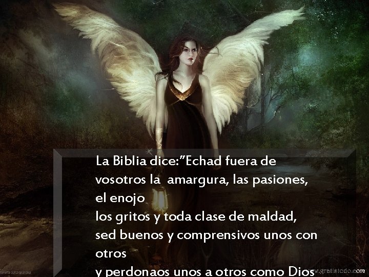 La Biblia dice: ”Echad fuera de vosotros la amargura, las pasiones, el enojo los