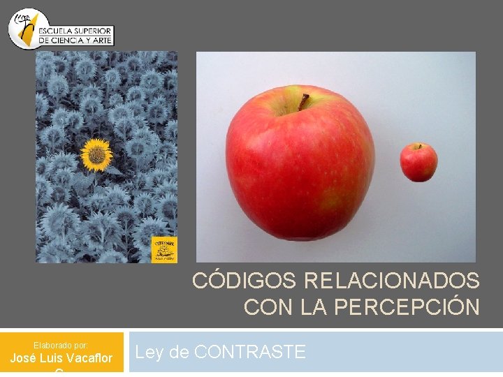 CÓDIGOS RELACIONADOS CON LA PERCEPCIÓN Elaborado por: José Luis Vacaflor Ley de CONTRASTE 