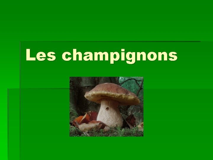 Les champignons 