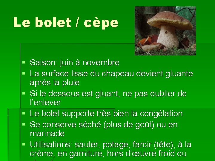 Le bolet / cèpe § Saison: juin à novembre § La surface lisse du