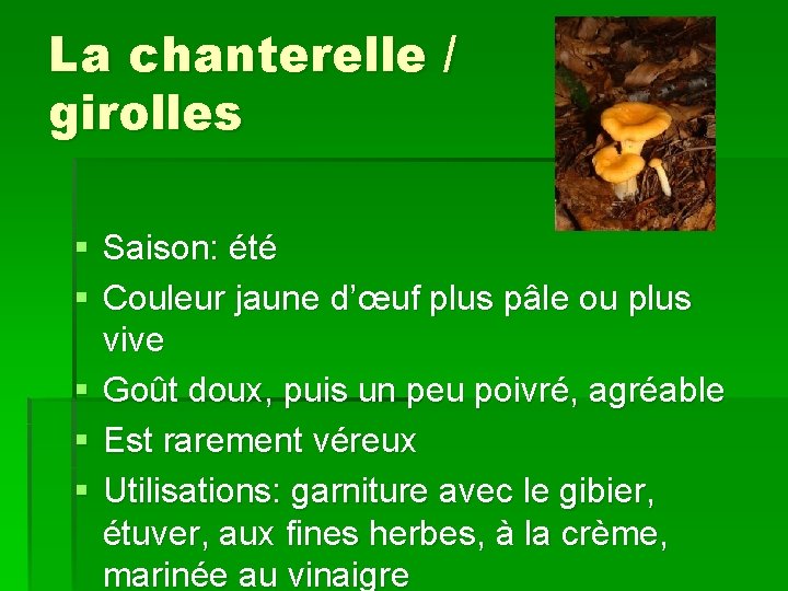 La chanterelle / girolles § Saison: été § Couleur jaune d’œuf plus pâle ou