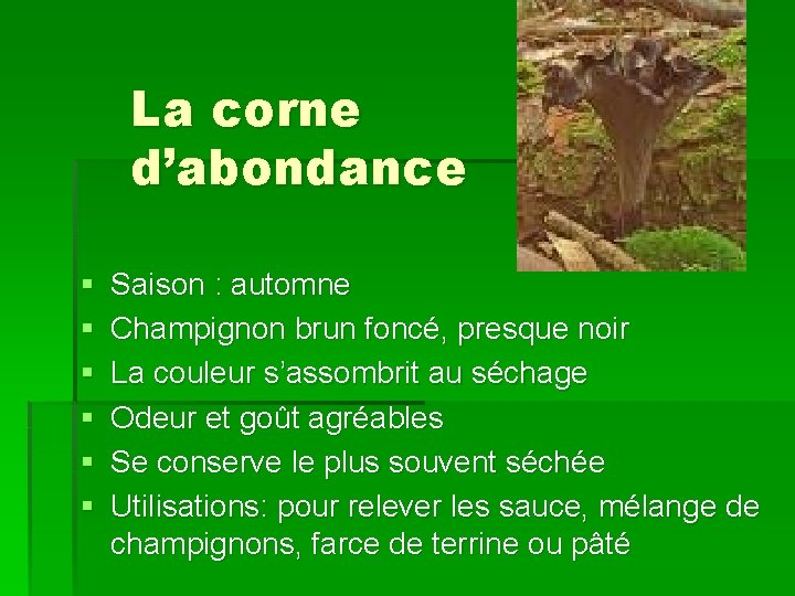 La corne d’abondance § § § Saison : automne Champignon brun foncé, presque noir