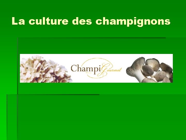 La culture des champignons 