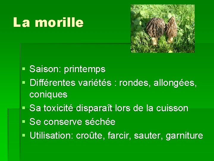 La morille § Saison: printemps § Différentes variétés : rondes, allongées, coniques § Sa