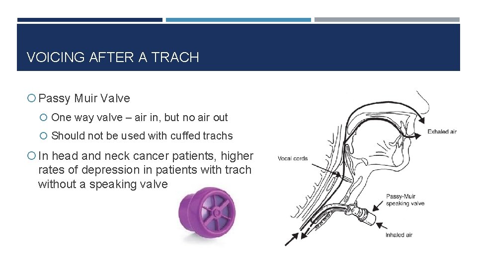 VOICING AFTER A TRACH Passy Muir Valve One way valve – air in, but