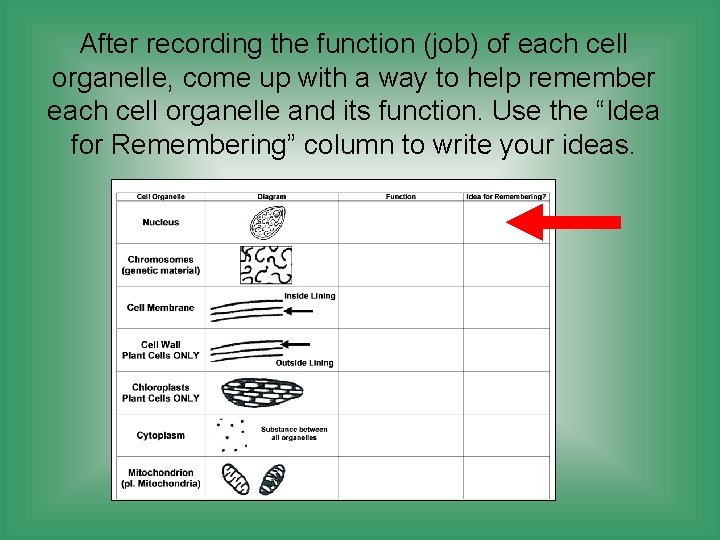 After recording the function (job) of each cell organelle, come up with a way