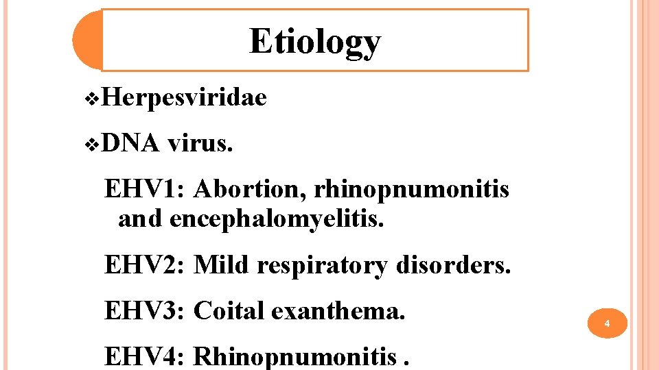 Etiology v. Herpesviridae v. DNA virus. EHV 1: Abortion, rhinopnumonitis and encephalomyelitis. EHV 2: