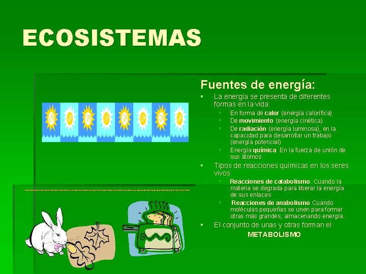 ECOSISTEMAS Fuentes de energía: § La energía se presenta de diferentes formas en la