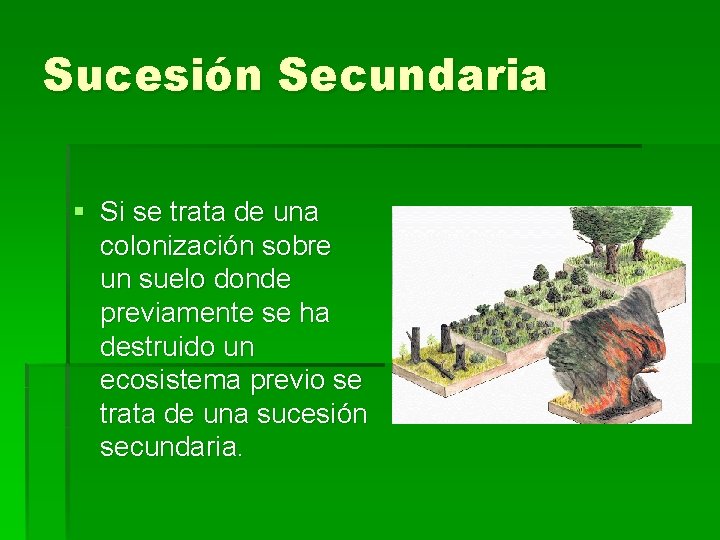 Sucesión Secundaria § Si se trata de una colonización sobre un suelo donde previamente