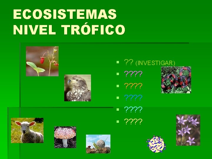 ECOSISTEMAS NIVEL TRÓFICO § § § ? ? (INVESTIGAR) ? ? ? ? ?