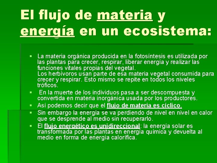 El flujo de materia y energía en un ecosistema: § La materia orgánica producida