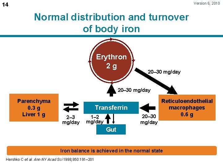 Version 6, 2010 14 Normal distribution and turnover of body iron Erythron 2 g