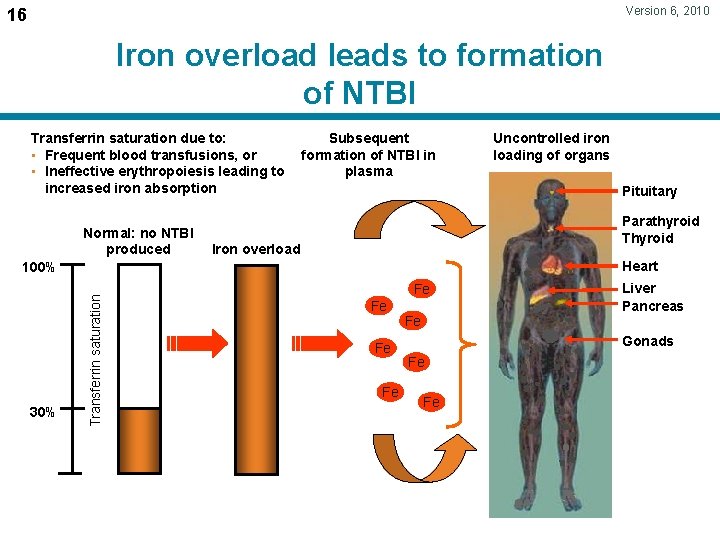 Version 6, 2010 16 Iron overload leads to formation of NTBI Transferrin saturation due