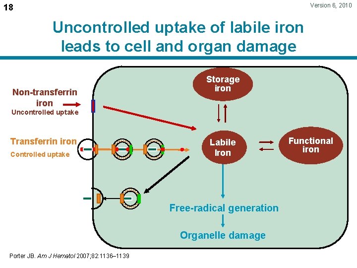 Version 6, 2010 18 Uncontrolled uptake of labile iron leads to cell and organ