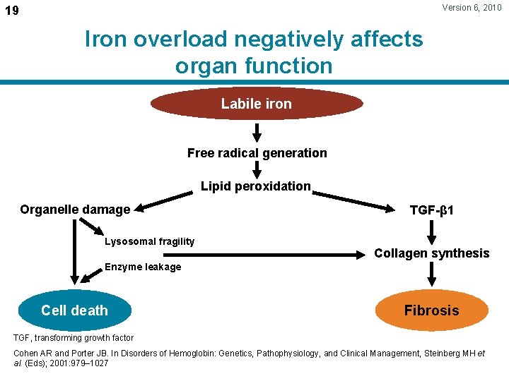 Version 6, 2010 19 Iron overload negatively affects organ function Labile iron Free radical