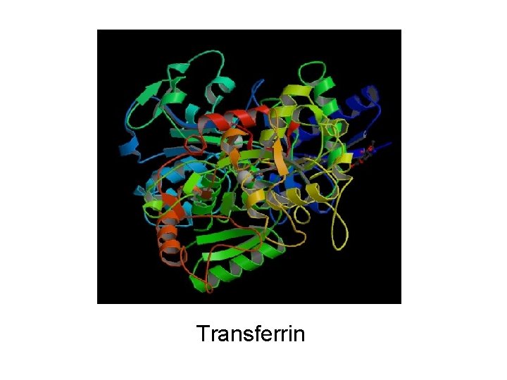 Transferrin 