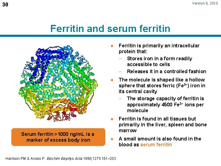 Version 6, 2010 30 Ferritin and serum ferritin Serum ferritin >1000 ng/m. L is