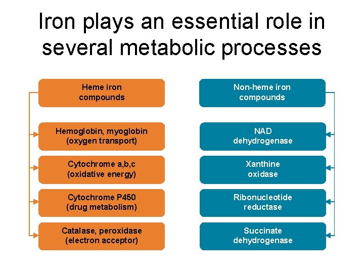Iron plays an essential role in several metabolic processes Heme iron compounds Non-heme iron Iron plays an essential role in several metabolic processes Heme iron compounds Non-heme iron