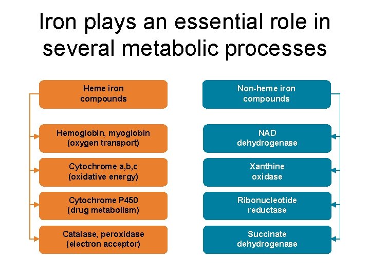 Iron plays an essential role in several metabolic processes Heme iron compounds Non-heme iron