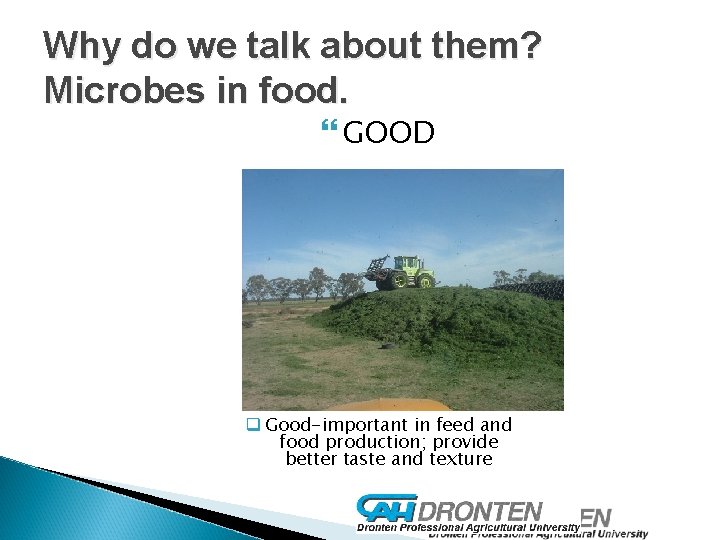 Why do we talk about them? Microbes in food. GOOD q Good-important in feed