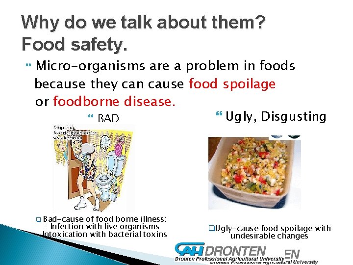 Why do we talk about them? Food safety. Micro-organisms are a problem in foods