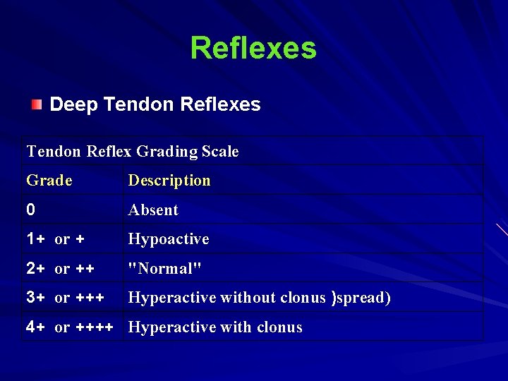 Reflexes Deep Tendon Reflexes Tendon Reflex Grading Scale Grade Description 0 Absent 1+ or Reflexes Deep Tendon Reflexes Tendon Reflex Grading Scale Grade Description 0 Absent 1+ or