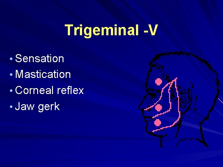 Trigeminal -V • Sensation • Mastication • Corneal reflex • Jaw gerk Trigeminal -V • Sensation • Mastication • Corneal reflex • Jaw gerk