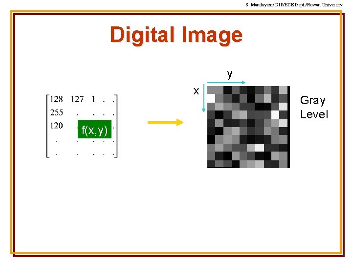 S. Mandayam/ DIP/ECE Dept. /Rowan University Digital Image y x f(x, y) Gray Level S. Mandayam/ DIP/ECE Dept. /Rowan University Digital Image y x f(x, y) Gray Level