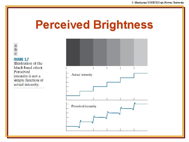 S. Mandayam/ DIP/ECE Dept. /Rowan University Perceived Brightness S. Mandayam/ DIP/ECE Dept. /Rowan University Perceived Brightness