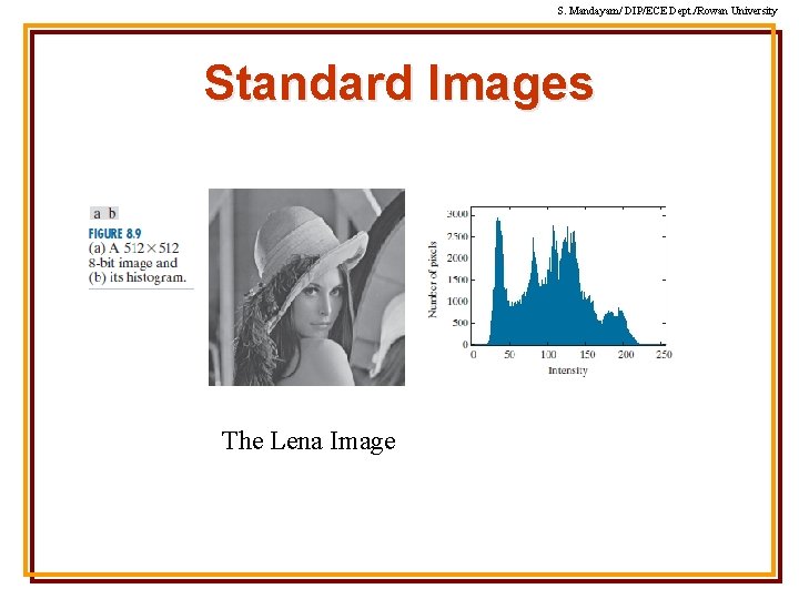 S. Mandayam/ DIP/ECE Dept. /Rowan University Standard Images The Lena Image S. Mandayam/ DIP/ECE Dept. /Rowan University Standard Images The Lena Image