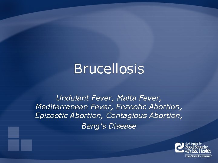 Brucellosis Undulant Fever, Malta Fever, Mediterranean Fever, Enzootic Abortion, Epizootic Abortion, Contagious Abortion, Bang’s