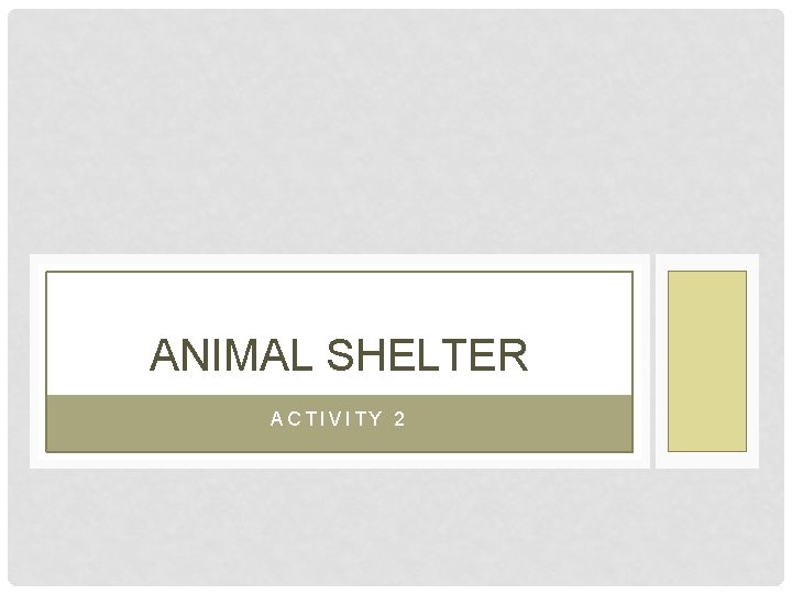 ANIMAL SHELTER ACTIVITY 2 