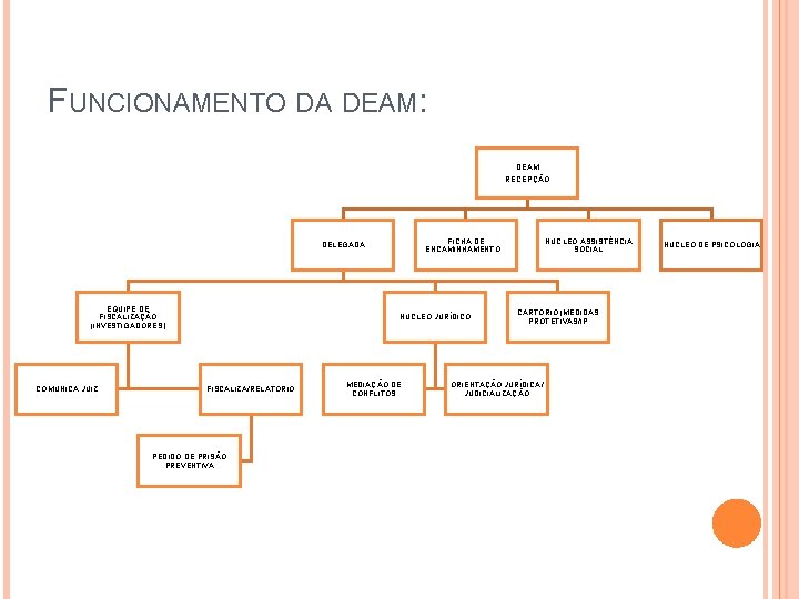 FUNCIONAMENTO DA DEAM: DEAM RECEPÇÃO FICHA DE ENCAMINHAMENTO DELEGADA EQUIPE DE FISCALIZAÇÃO (INVESTIGADORES) COMUNICA